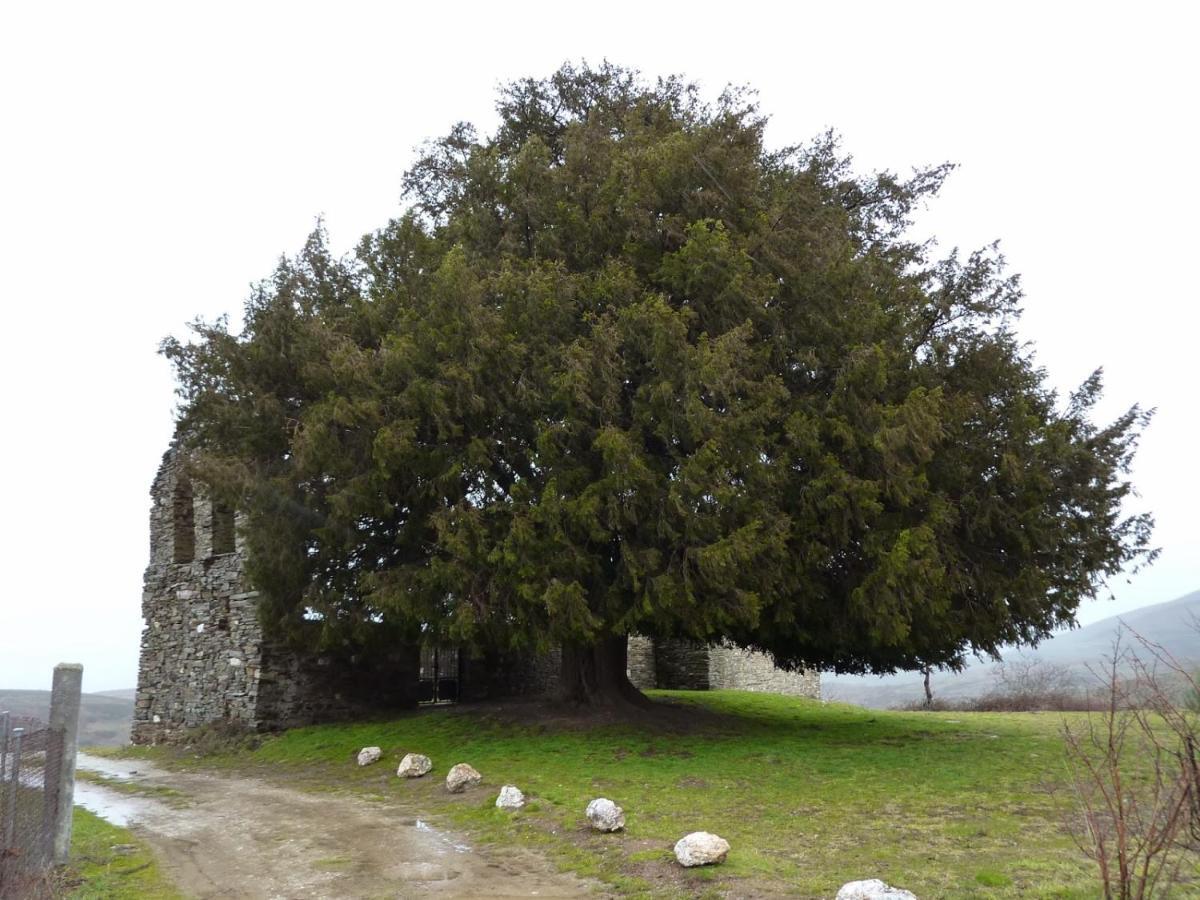 Casa De Abril 1 ξενώνας San Cristobal de Valdueza Δωμάτιο φωτογραφία